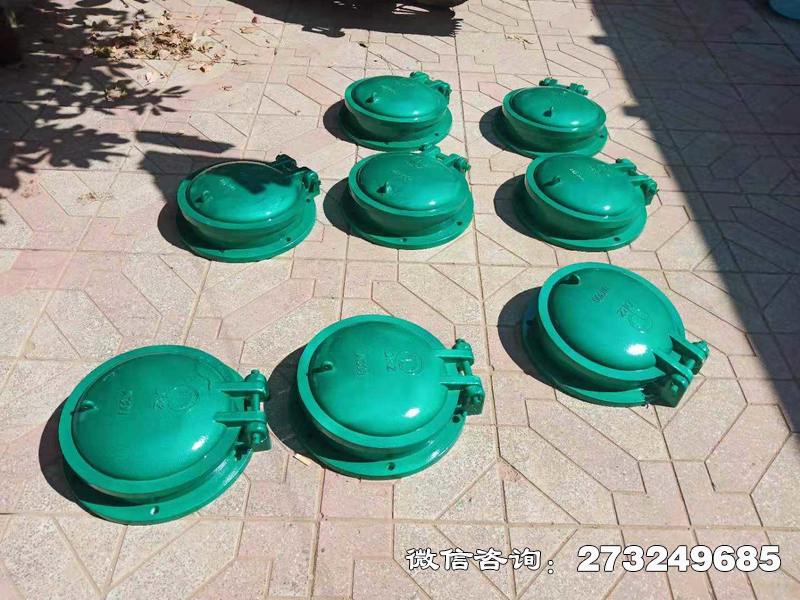 银州玻璃钢止水拍门