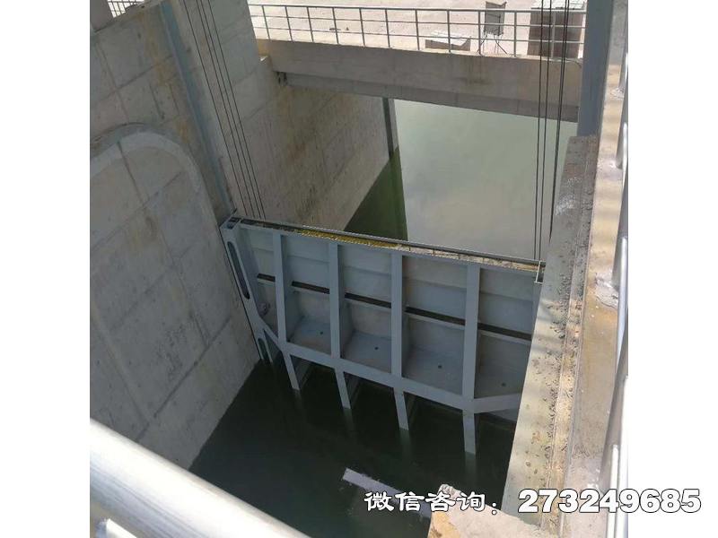 林口县铸铁钢坝闸门